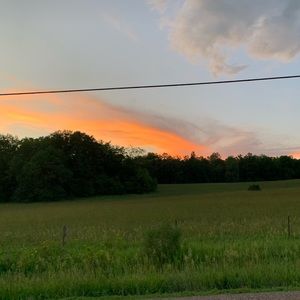 Meet your Posher, Shauna